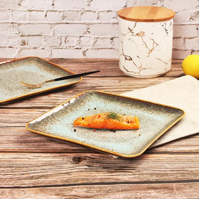 Ceramic Dinner Plates Dish SetSet of 4for Lunch snacks -Microwave Oven &amp Dishwasher SafeScratch ResistantDinnerware Kitchen Porcelain Serving Dishes9 inch Square