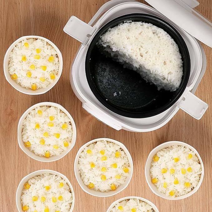 Yosoo 2L Car Rice Cooker Efficient Prevents Stick Dual Safety Clasps Portable for Car Travel Camping with for Trucks