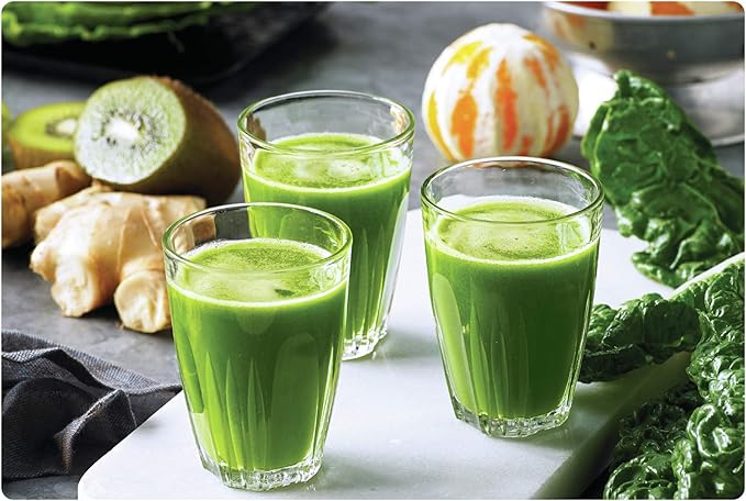 Breville BBL620OLT Fresh and Furious Blender Olive Tapenade