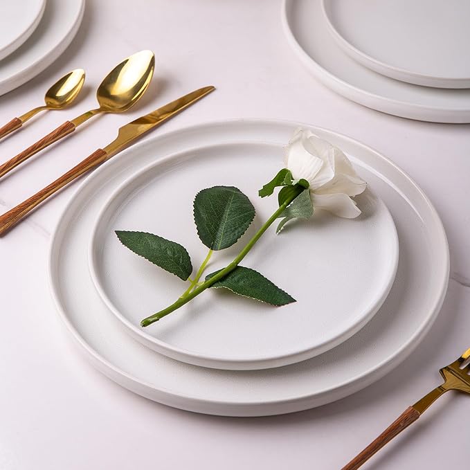 AmorArc Stoneware Dinnerware SetsRound Reactive Glaze Ceramic Plates and Bowls SetsHighly Scratch Resistant | Microwave &amp Dishwasher SafeService for 8 Dishes Set (24pc)