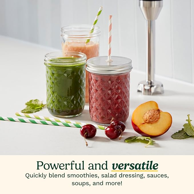 Cuisinart CSB-179 Smart Stick Variable Speed Hand Blender Stainless Steel