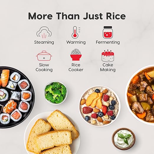 IRIS USA Micom Japanese Rice Cooker 5-Cup Uncooked/10-Cup Cooked Fuzzy Logic Kitchen Appliance with Recipe Presets Slow Cooker Steamer Hot Pot &amp Warming Function Compact &amp Portable for H