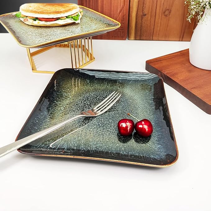 Ceramic Dinner Plates Dish Set Set of 4 Microwave Oven and Dishwasher Safe Scratch Resistant Dinnerware Kitchen Porcelain Serving Dishes 9 inch Square plate