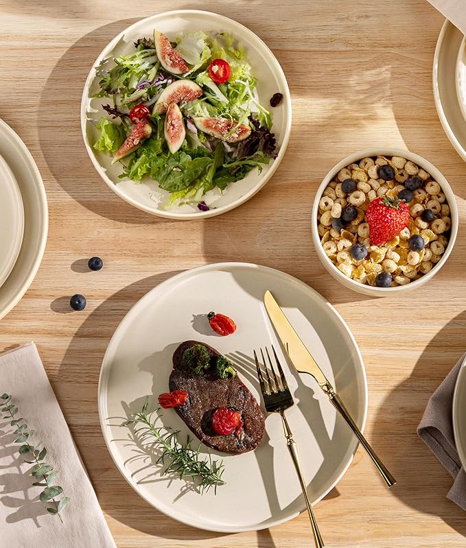 TheTerra Ceramic Dinnerware Sets for 4 12 Pieces Handmade Reactive Glaze Plates and Bowls Set Scratch Resistant Dish Set Oven &amp Microwave &amp Dishwasher Safe Ice Cream