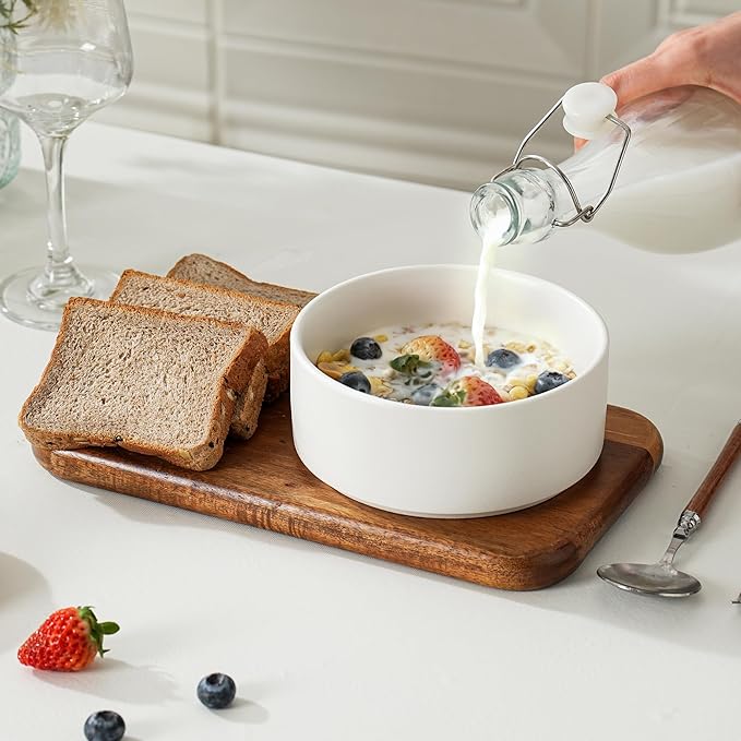 Stoneware Cereal and Soup Bowls Set of 4 6 Inch Matte Glaze Ceramic Bowls for Breakfast &amp Oatmeal Microwave and Dishwasher Safe Matte White