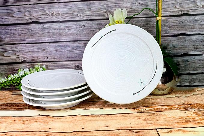 Ebros Gift Modern Yukino Hana Snow Flowers Ceramic Dinnerware Serveware Kitchenware Set Oriental Asian Restaurant Supply (Pack Of 5 Large Round Dinner Plates 10D)
