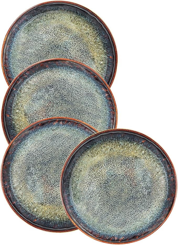 Ceramic Dinner Plates Dish SetSet of 4for Lunch snacks -Microwave Oven &amp Dishwasher SafeScratch ResistantDinnerware Kitchen Porcelain Serving Dishes 10 Inch Round