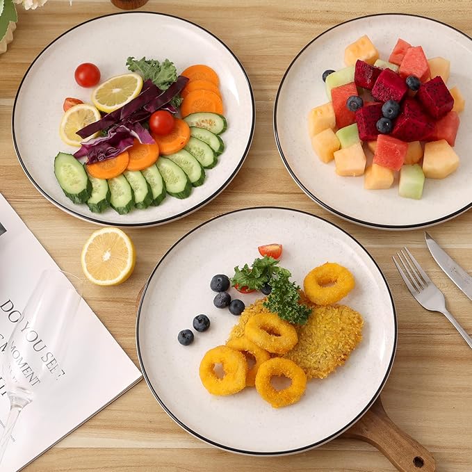 Ceramic White Dinner Plates Set of 6 10.5 Inch Plates for Kitchen Microwave Oven and Dishwasher Safe Modern Dishes Set for PastaSteak Dessert Salad