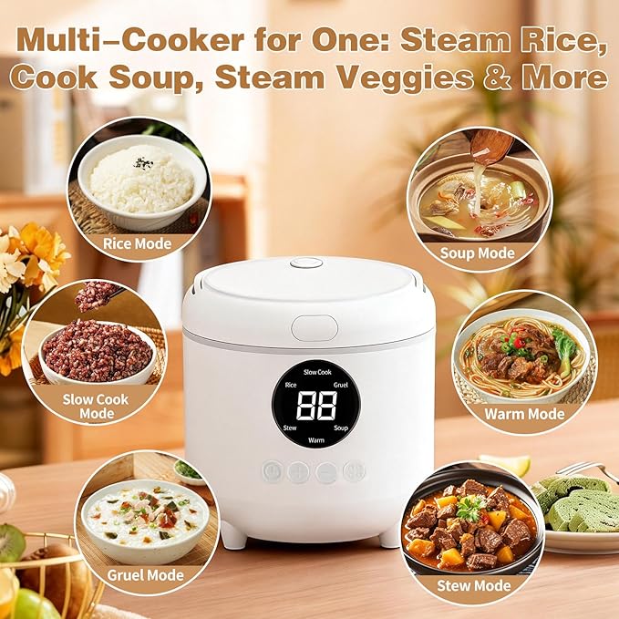 Mini Rice Cooker with timer 2-Cups Uncooked/4-Cups Cooked with Handle 6 Intelligent Cooking Modes for White Rice Quinoa Oatmeal - with Nonstick Inner Pot (White)