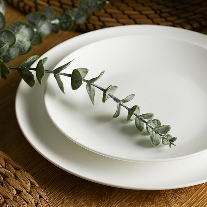 Stone Lain Taglio 12-Piece Dinnerware Set Bone China Matte White