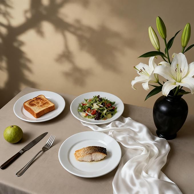 Stoneware Wide Rim Commercial Grade Dinnerware Bright white Salad Plate 8.25 Case of 24