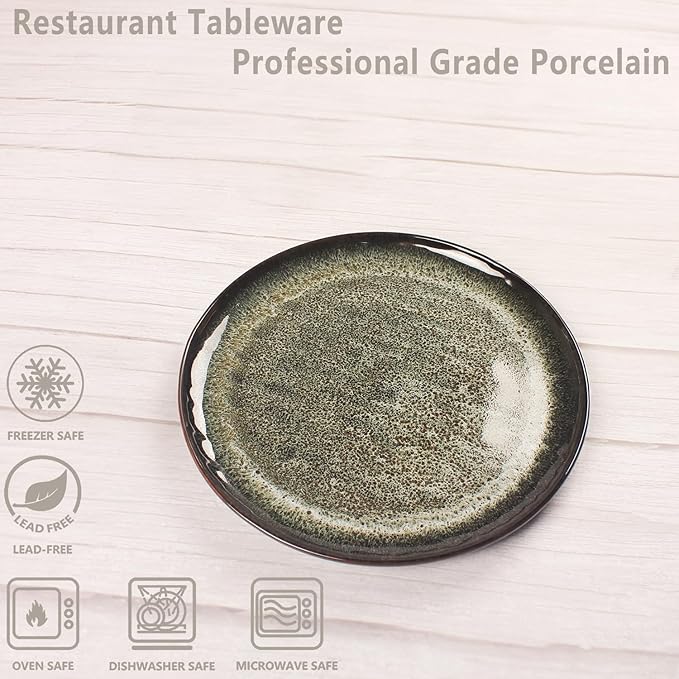 Ceramic Dinner Plates Dish SetSet of 4for Lunch snacks -Microwave Oven &amp Dishwasher SafeScratch ResistantDinnerware Kitchen Porcelain Serving Dishes 10 Inch Round