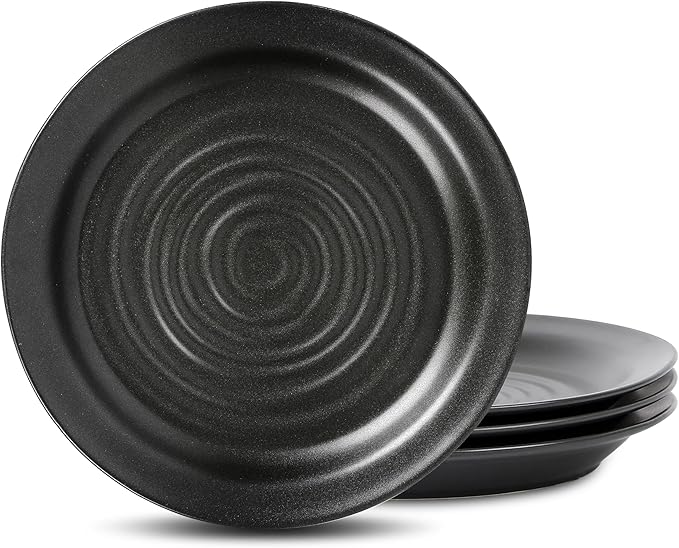 Stone Lain Orbit 4-Piece Dinner Plate Set Stoneware Charcoal