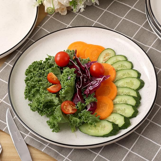 Ceramic White Dinner Plates Set of 6 10.5 Inch Plates for Kitchen Microwave Oven and Dishwasher Safe Modern Dishes Set for PastaSteak Dessert Salad