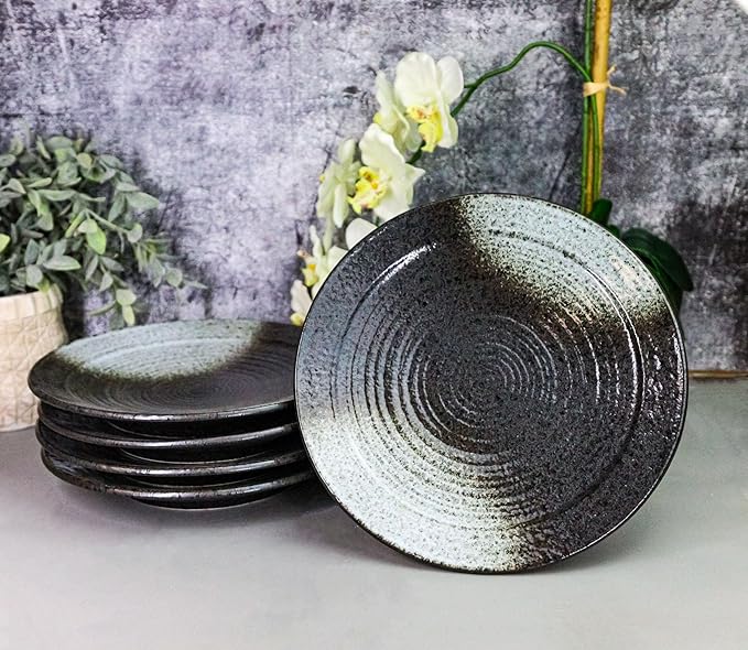 Ebros Gift Artistic Charcoal Grey Tone Hakumu Porcelain Collection Dinnerware Serveware Kitchenware Set Asian Japanese Restaurant Supply (Pack Of 5 Large Round Dinner Plates 10 D)