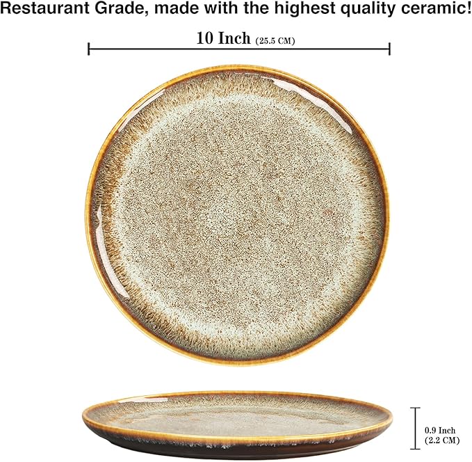 Ceramic Dinner Plates Dish SetSet of 4for Lunch snacks -Microwave Oven &amp Dishwasher SafeScratch ResistantDinnerware Kitchen Porcelain Serving Dishes 10 Inch Round