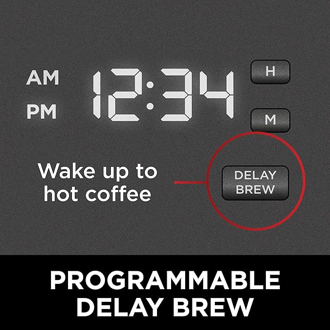 Ninja 12-Cup Programmable Brewer CE251 Coffee Maker 60 oz Black/Stainless Steel (Renewed)