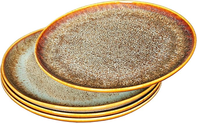 Ceramic Dinner Plates Dish SetSet of 4for Lunch snacks -Microwave Oven &amp Dishwasher SafeScratch ResistantDinnerware Kitchen Porcelain Serving Dishes 10 Inch Round