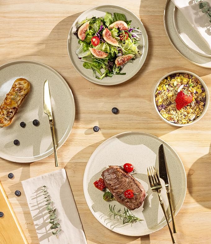 TheTerra Ceramic Dinnerware Sets for 4 12 Pieces Porcelain Lightweight Speckled Plates and Bowls Sets Scratch Resistant Dish Set Oven &amp Microwave &amp Dishwasher Safe