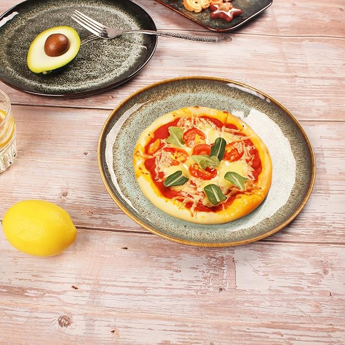 Ceramic Dinner Plates Dish SetSet of 4for Lunch snacks -Microwave Oven &amp Dishwasher SafeScratch ResistantDinnerware Kitchen Porcelain Serving Dishes 10 Inch Round
