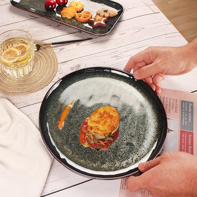 Ceramic Dinner Plates Dish SetSet of 4for Lunch snacks -Microwave Oven &amp Dishwasher SafeScratch ResistantDinnerware Kitchen Porcelain Serving Dishes 10 Inch Round