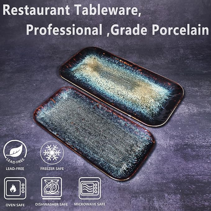 Porcelain Dinner Plates Platters Set of 2 for Fruit dessert snack platter Bread cupcake Salad - Microwave Dishwasher Safe Scratch Resistant durable Black Reactive glaze