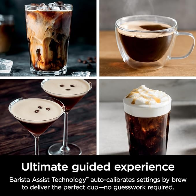 Ninja R-ES601 Luxe Café Premier Series Espresso Machine Drip Coffee Cold Brew Grinder Tamper Frother Silver (Renewed)