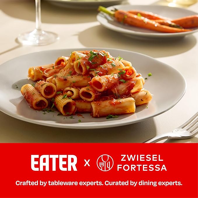 Eater x Zwiesel Fortessa Tempus Stoneware 16 Piece Dinnerware Set (Service for 4) Smoke
