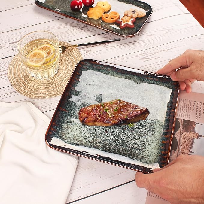 Ceramic Dinner Plates Dish Set Set of 4 Microwave Oven and Dishwasher Safe Scratch Resistant Dinnerware Kitchen Porcelain Serving Dishes 9 inch Square plate
