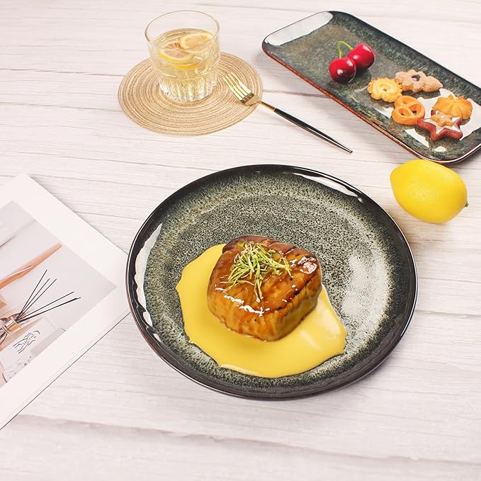 Ceramic Dinner Plates Dish SetSet of 4for Lunch snacks -Microwave Oven &amp Dishwasher SafeScratch ResistantDinnerware Kitchen Porcelain Serving Dishes 10 Inch Round