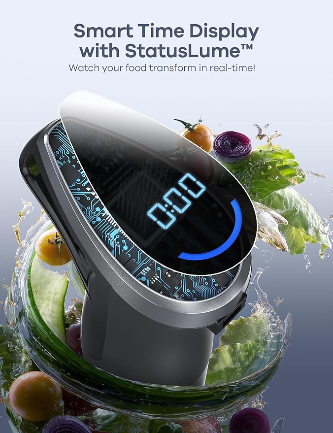Ganiza GB08 Smoothie Blender and WH10 Hand Blneder