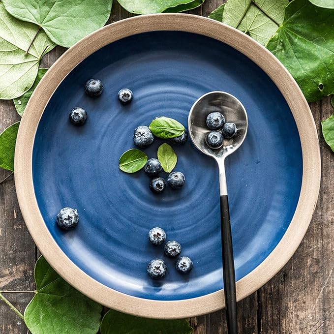 Porcelain Dinnerware Sets 20 Pieces Two-Color Ceramics Dinner Combination Set for Wedding s6 Cereals Bowls and 8 Steak Plates Sets with 6 Mug