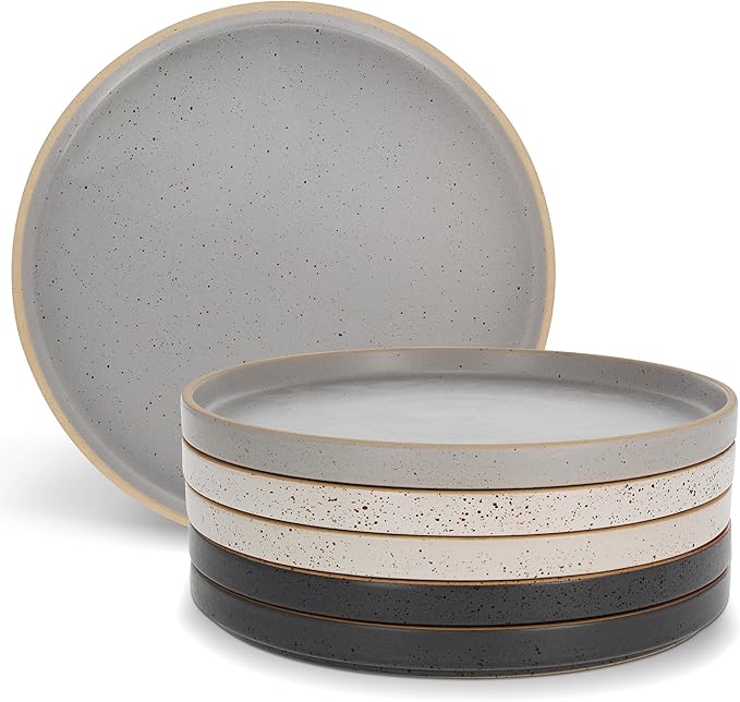 Ceramic Plates - 6 Piece Neutral Flat Porcelain Dish Set - 10.5in Modern Dishes with Lipped Edge for Everyday Kitchen Use - Oven Dishwasher and Microwave Safe Ceramic Dinnerware Sets