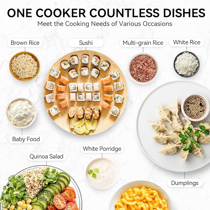 olayks Mini Rice Cooker Small Electric Cooker 2 Cup Uncooked with 4 Cooking Functions Ceramic Rice Cooker with 24 Hour Preset Heat Preservation Anti Scald Carry Handle