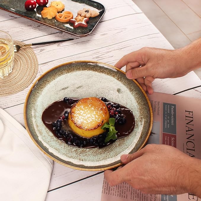 Ceramic Dinner Plates Dish SetSet of 4for Lunch snacks -Microwave Oven &amp Dishwasher SafeScratch ResistantDinnerware Kitchen Porcelain Serving Dishes 10 Inch Round