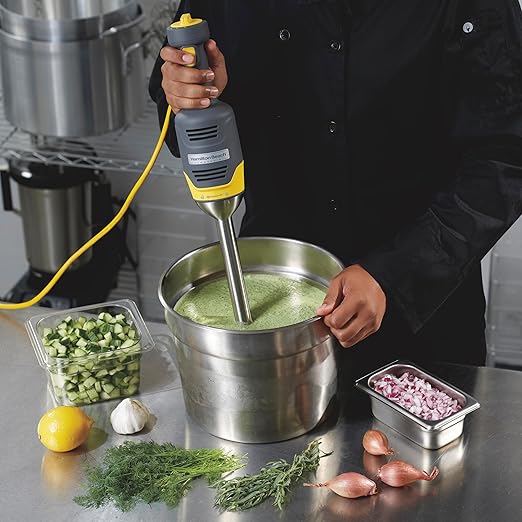 Hamilton Beach Commercial HMI009 BigRig Compact Immersion Blender with 9 Inch Shaft Up to 3 Gallons Capacity Variable Speed Easy to Use NSF Certified