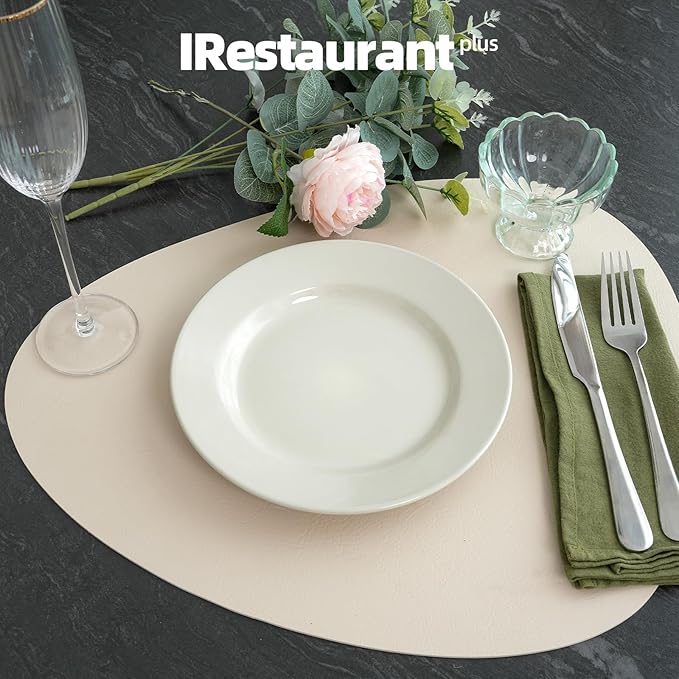 Stoneware Wide Rim Commercial Grade Dinnerware (America White Plate 6.25)