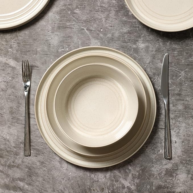Stone Lain Claire 4-Piece Dinner Plate Set Stoneware Plates Dishwasher and Microwave Safe Dish Set for 4 White