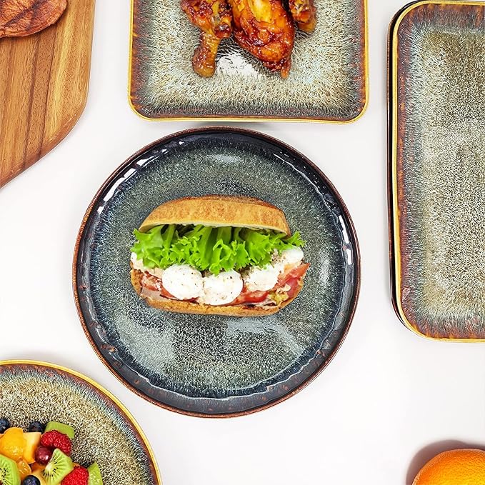 Ceramic Dinner Plates Dish SetSet of 4for Lunch snacks -Microwave Oven &amp Dishwasher SafeScratch ResistantDinnerware Kitchen Porcelain Serving Dishes 10 Inch Round