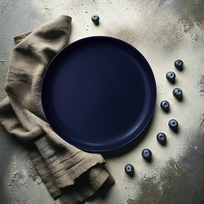 MÜLLERHEIM 903 Minimalist Collection 16-Piece Contemporary Ceramic Stoneware Dinnerware Sets for 4 Blueberry Plates and Bowls sets Dinner Plates Set Salad Dish Set Bowls Cup