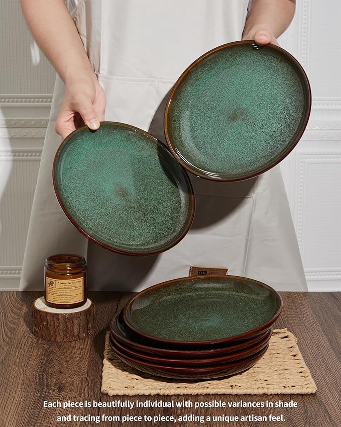 12 Piece Dinnerware Set Includes 6 Piece Dinner Plate Set Combo Brown Green