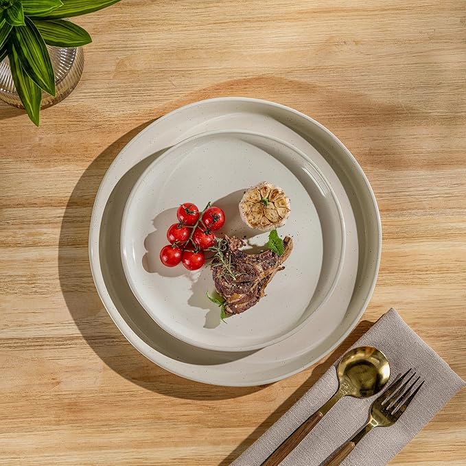 GBHOME 24-Piece Ceramic Dinnerware Set for 6 Handpainted Plates Pasta Bowls &amp Bowls Set with Rustic Terracotta Underside Scratch-Resistant Dishwasher &amp Microwave SafeSpeckled Glaze Beige
