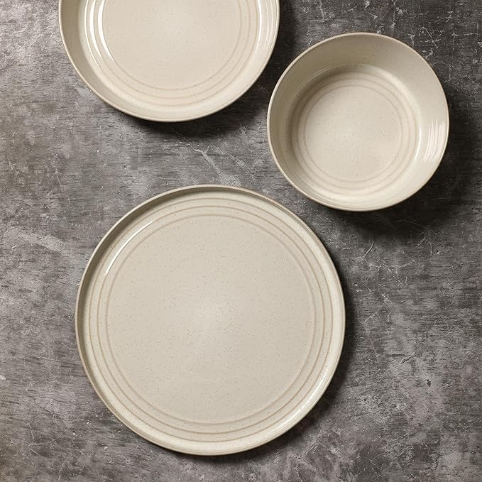 Stone Lain Claire 4-Piece Dinner Plate Set Stoneware Plates Dishwasher and Microwave Safe Dish Set for 4 White