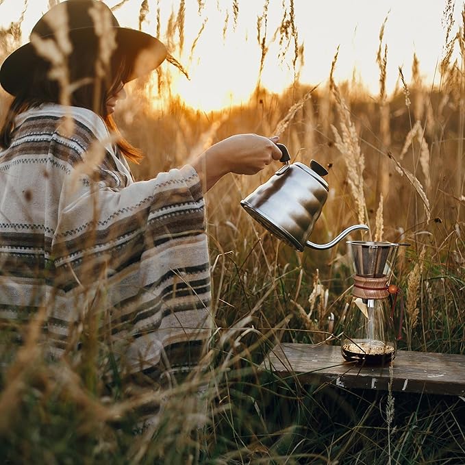 AGOGO Pour Over Coffee Maker Glass - 6 Cup Barista Kit with 304 Stainless Filter for Home Office Camping Cafes - Easy Clean Coffee Dripper Set (Soft Towel&ampBrush) (6 Cup/20 oz)