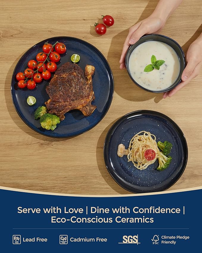24 piece Stoneware Dinnerware Sets Starry Blue